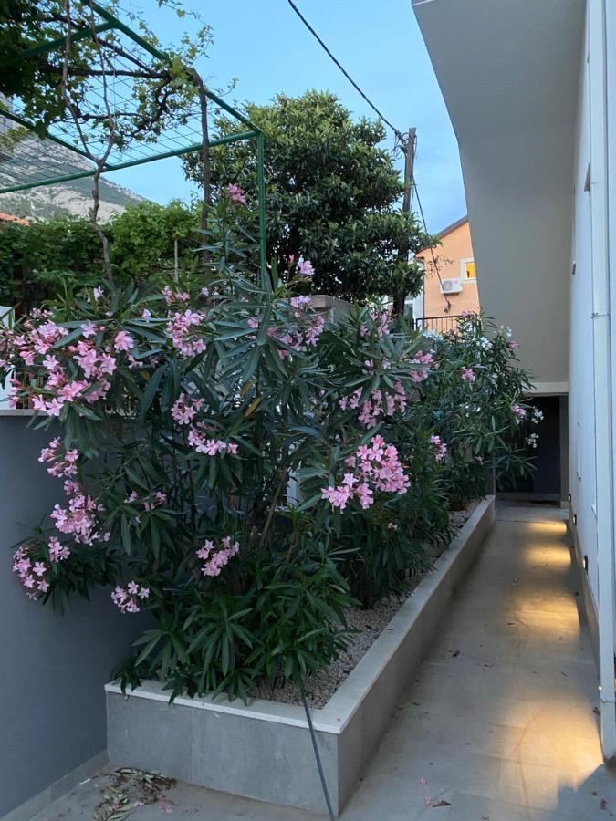 Villa Melassy מאקרסקה מראה חיצוני תמונה